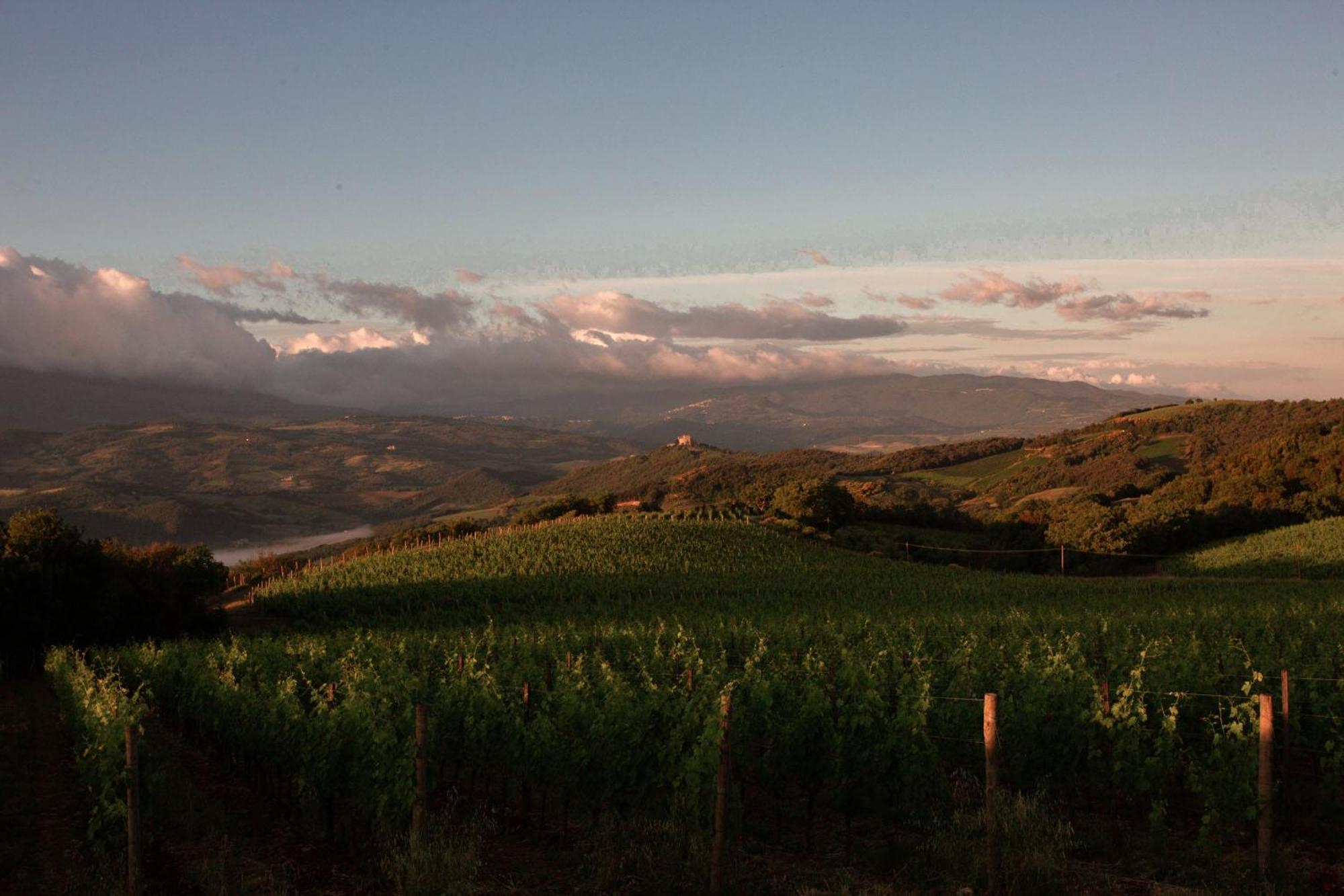Farm stay Mastrojanni Relais *