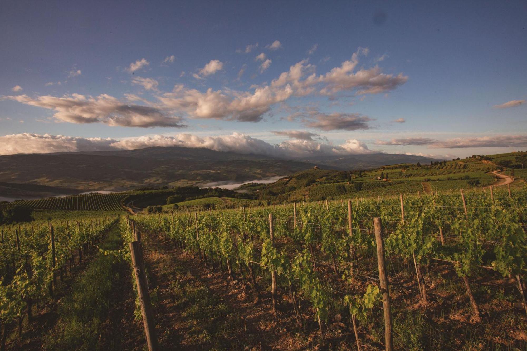 Mastrojanni Relais Farm stay Montalcino